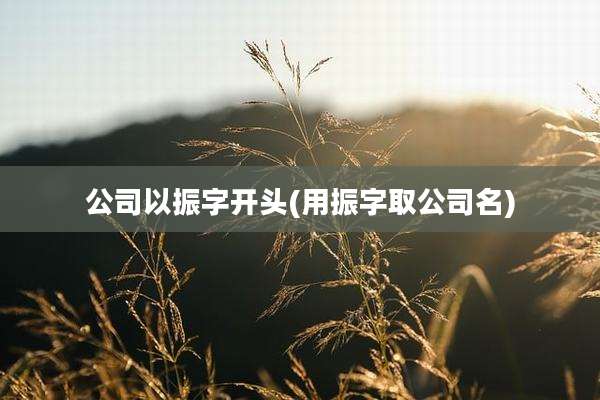 公司以振字开头(用振字取公司名)