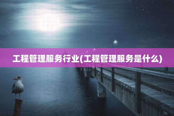 工程管理服务行业(工程管理服务是什么)