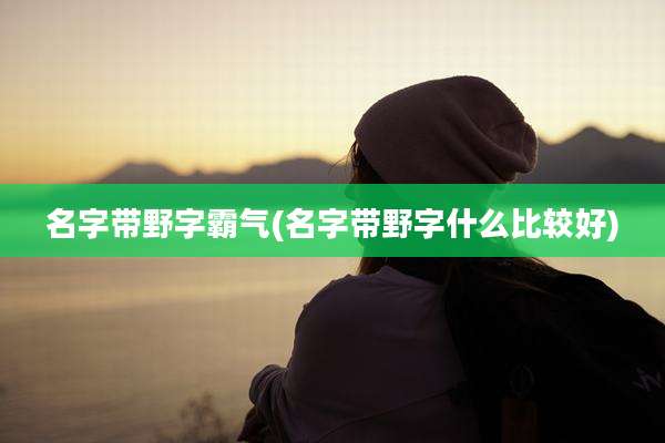 名字带野字霸气(名字带野字什么比较好)