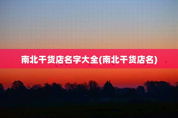 南北干货店名字大全(南北干货店名)