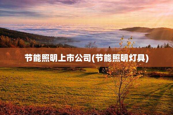节能照明上市公司(节能照明灯具)