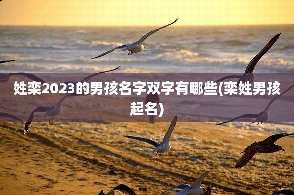 姓栾2023的男孩名字双字有哪些(栾姓男孩起名)