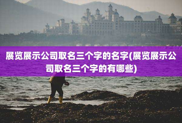 展览展示公司取名三个字的名字(展览展示公司取名三个字的有哪些)