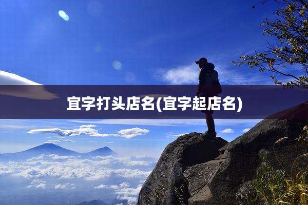 宜字打头店名(宜字起店名)