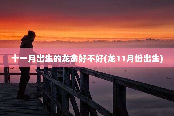 十一月出生的龙命好不好(龙11月份出生)