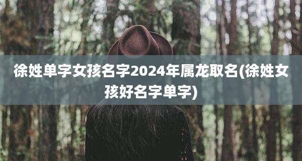 徐姓单字女孩名字2024年属龙取名(徐姓女孩好名字单字)