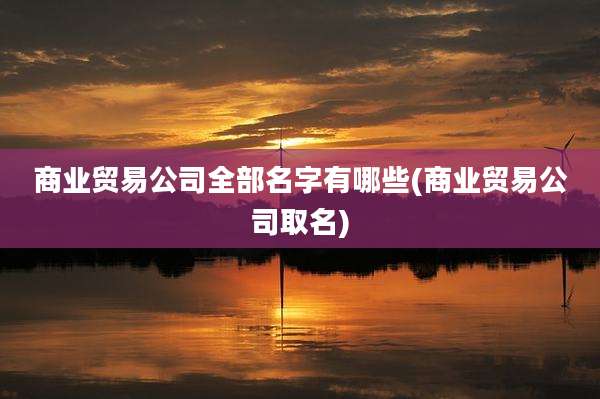 商业贸易公司全部名字有哪些(商业贸易公司取名)