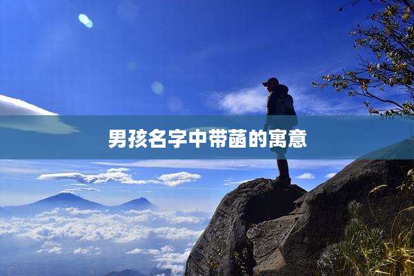 男孩名字中带菡的寓意