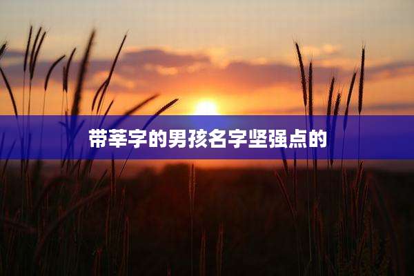 带莘字的男孩名字坚强点的