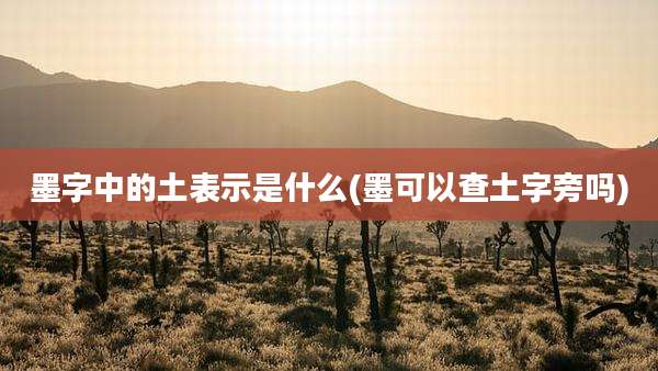 墨字中的土表示是什么(墨可以查土字旁吗)