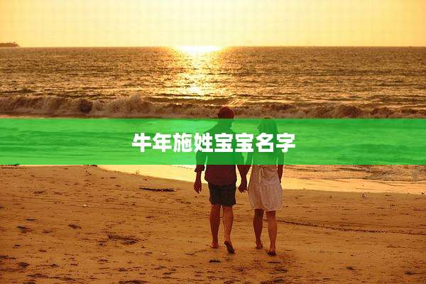 牛年施姓宝宝名字
