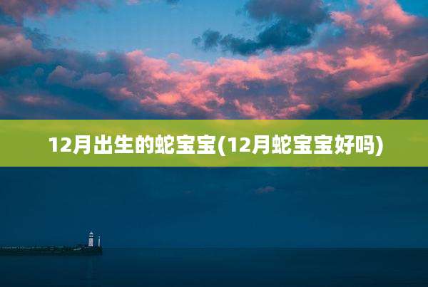 12月出生的蛇宝宝(12月蛇宝宝好吗)