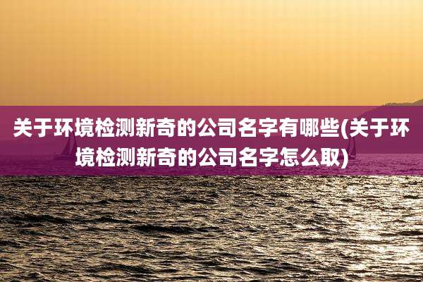 关于环境检测新奇的公司名字有哪些(关于环境检测新奇的公司名字怎么取)
