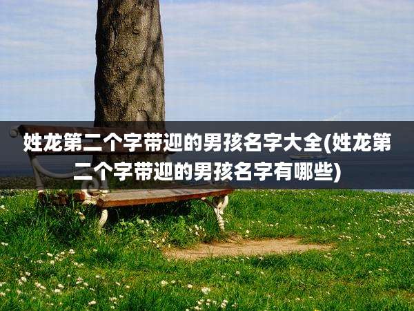 姓龙第二个字带迎的男孩名字大全(姓龙第二个字带迎的男孩名字有哪些)