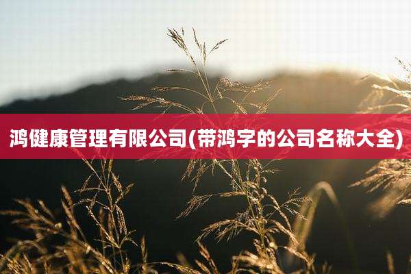 鸿健康管理有限公司(带鸿字的公司名称大全)