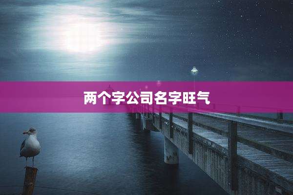 两个字公司名字旺气