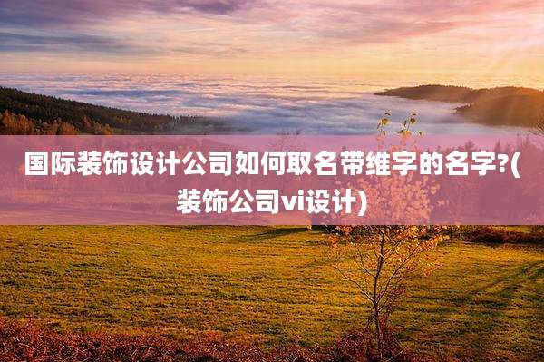 国际装饰设计公司如何取名带维字的名字?(装饰公司vi设计)
