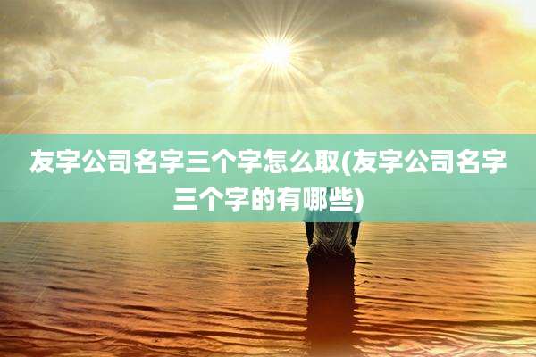 友字公司名字三个字怎么取(友字公司名字三个字的有哪些)