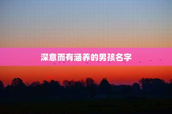 深意而有涵养的男孩名字