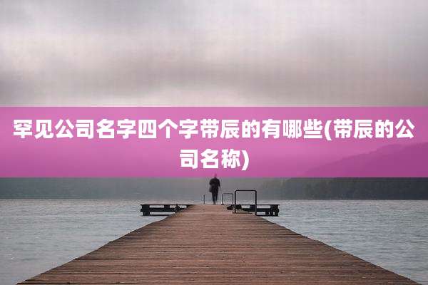 罕见公司名字四个字带辰的有哪些(带辰的公司名称)