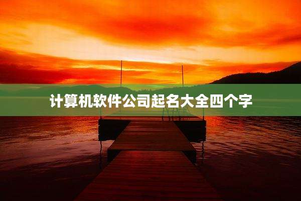 计算机软件公司起名大全四个字