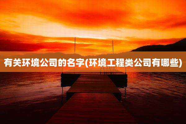 有关环境公司的名字(环境工程类公司有哪些)