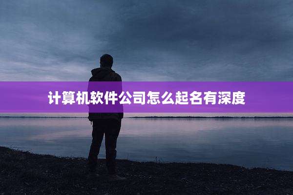 计算机软件公司怎么起名有深度
