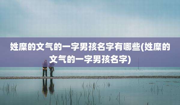 姓糜的文气的一字男孩名字有哪些(姓糜的文气的一字男孩名字)