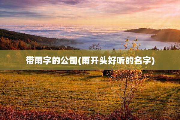 带雨字的公司(雨开头好听的名字)