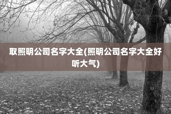 取照明公司名字大全(照明公司名字大全好听大气)