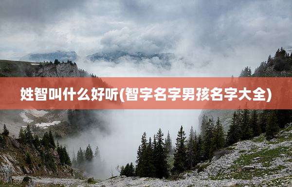 姓智叫什么好听(智字名字男孩名字大全)
