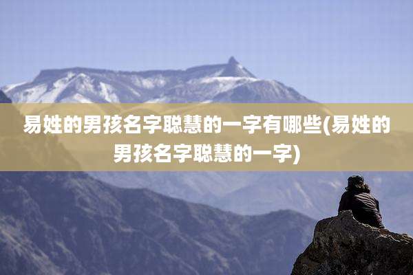 易姓的男孩名字聪慧的一字有哪些(易姓的男孩名字聪慧的一字)