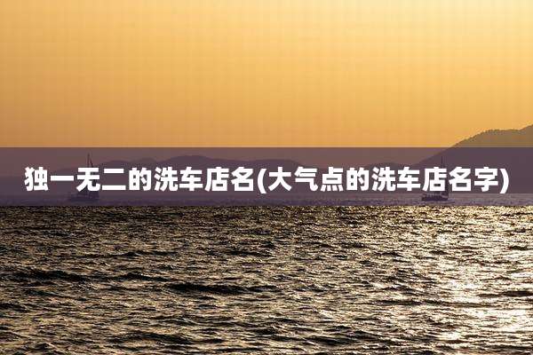 独一无二的洗车店名(大气点的洗车店名字)