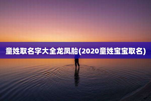 童姓取名字大全龙凤胎(2020童姓宝宝取名)