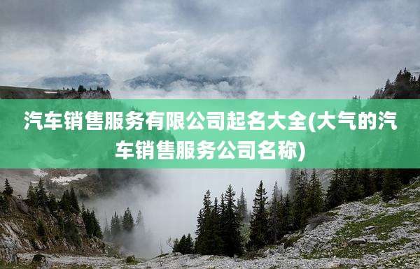汽车销售服务有限公司起名大全(大气的汽车销售服务公司名称)