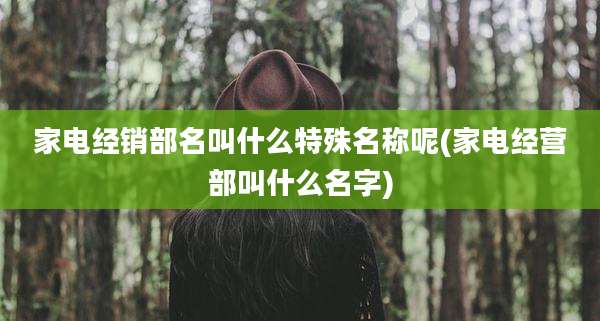 家电经销部名叫什么特殊名称呢(家电经营部叫什么名字)