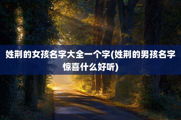 姓荆的女孩名字大全一个字(姓荆的男孩名字惊喜什么好听)