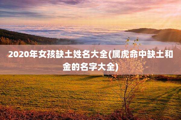 2020年女孩缺土姓名大全(属虎命中缺土和金的名字大全)