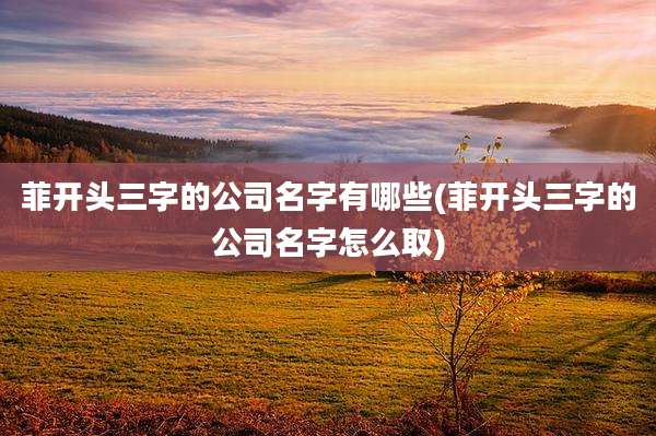 菲开头三字的公司名字有哪些(菲开头三字的公司名字怎么取)