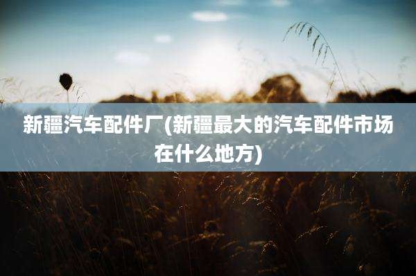 新疆汽车配件厂(新疆最大的汽车配件市场在什么地方)