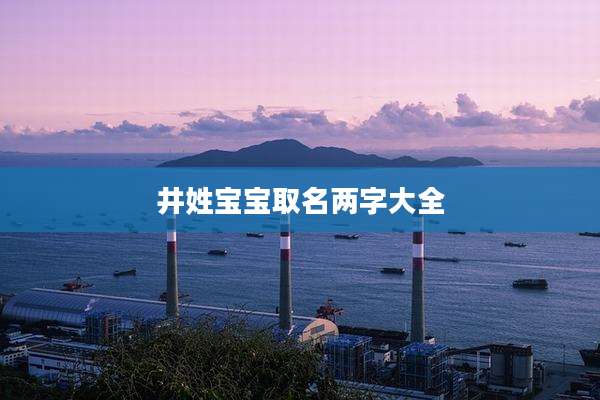 井姓宝宝取名两字大全