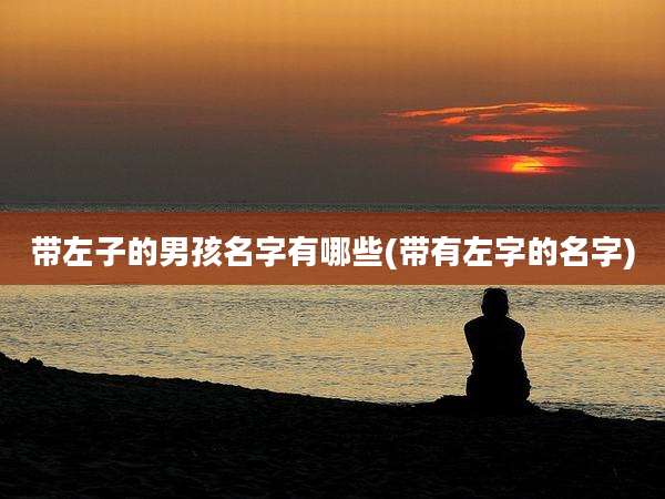 带左子的男孩名字有哪些(带有左字的名字)