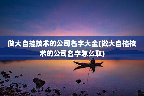 做大自控技术的公司名字大全(做大自控技术的公司名字怎么取)