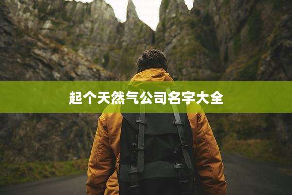 起个天然气公司名字大全