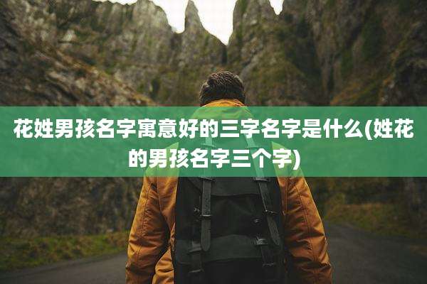 花姓男孩名字寓意好的三字名字是什么(姓花的男孩名字三个字)