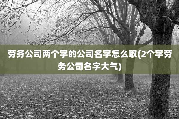 劳务公司两个字的公司名字怎么取(2个字劳务公司名字大气)