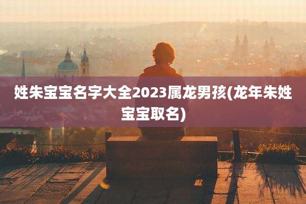 姓朱宝宝名字大全2023属龙男孩(龙年朱姓宝宝取名)