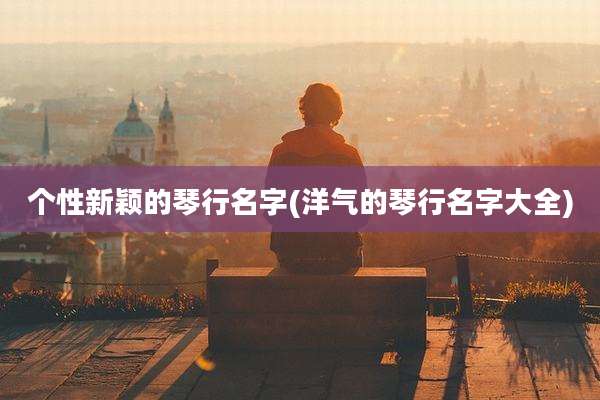 个性新颖的琴行名字(洋气的琴行名字大全)