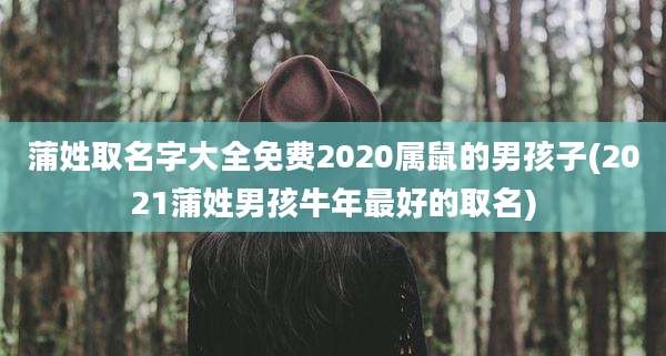 蒲姓取名字大全免费2020属鼠的男孩子(2021蒲姓男孩牛年最好的取名)