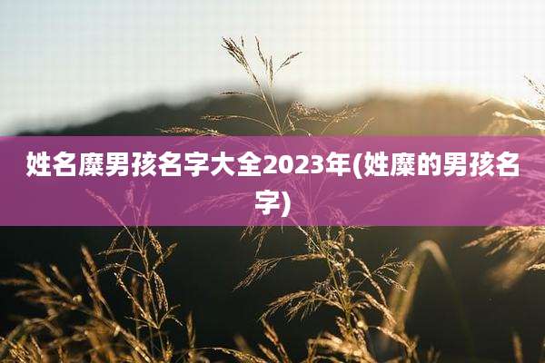 姓名糜男孩名字大全2023年(姓糜的男孩名字)